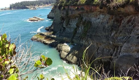 Oregon Coast - Poke your head thru the trees too see this view from the cliffs of Shore Acres Park