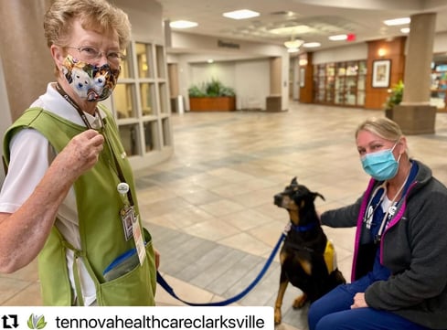 Janet and her therapy dog Bentley visit with a nurse at Tennova Healthcare.