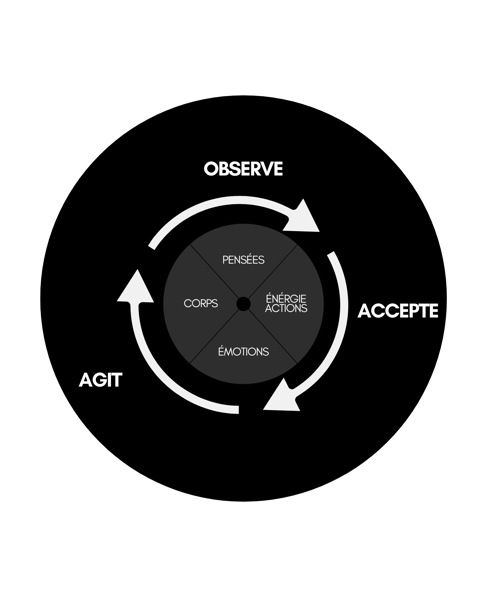 alignement, Shaman, énergétique, développement personnel, transformation