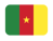 Bandera de Camerún