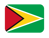 Bandera de Guyana