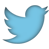 Twitter/X