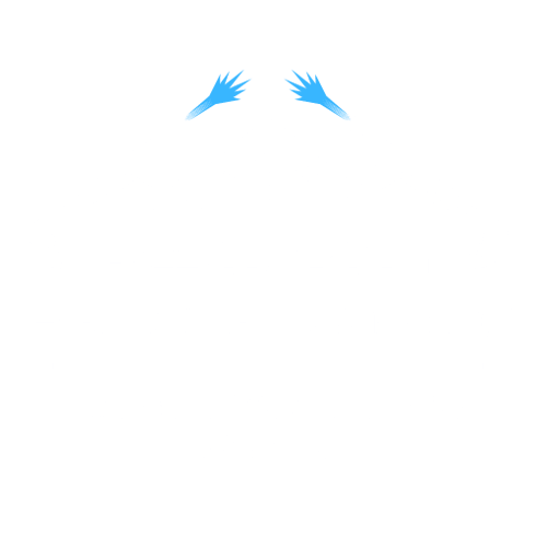 Restoration Pressure Washing logo