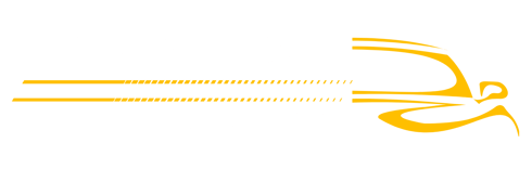 Prestige Clean Car logo