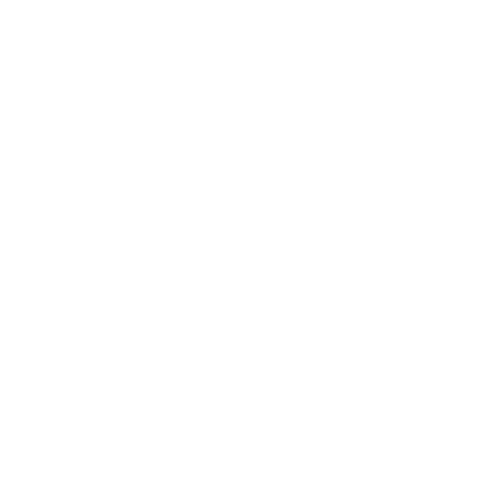 skyloz bolsas y accesorios de piel estilo mexicano contemporaneo logo