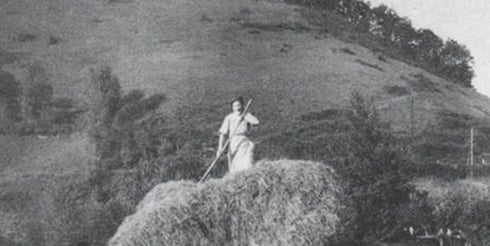Le travail aux champs, charrette emplie de foin tirée par des chevaux,