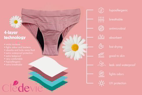 a woman's underwear briefsocks and underwear