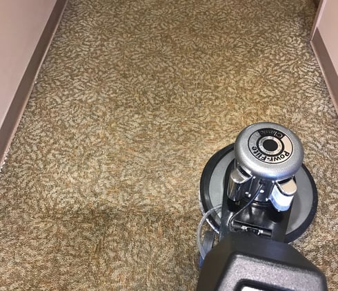 "Business carpet cleaning in Ormond Beach, FL by TEC Floor Services."