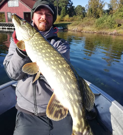 with fishing escape sweden a fisherman holds a big pike. he is on a boat, there is a swedish house.