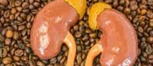 a pair of kidneys  