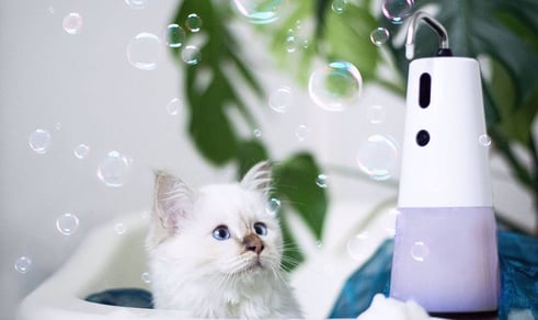 a white cat in a bathtub with soap bubbles