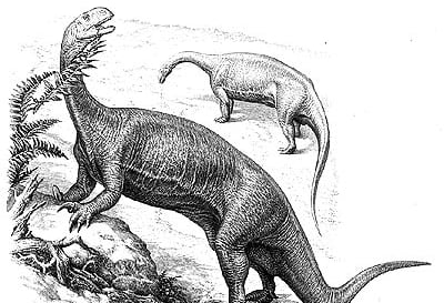 Plateosurus