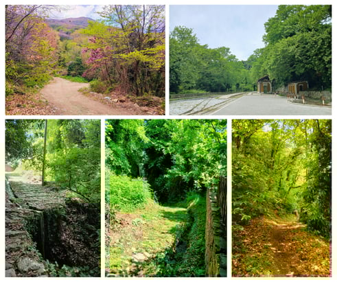 Scenery at Pelion mountain at several herbal walks with medical herbalist Emmanouil Manos