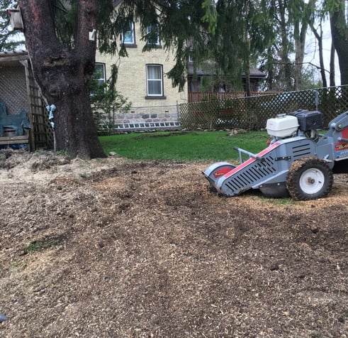 Stump Grinder after removing a stump