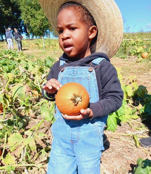 little boy in overalls at Gaver Farms pumpkin patch, holding a small pumpkin