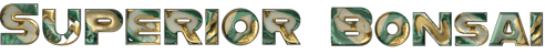 Superior Bonsai logo