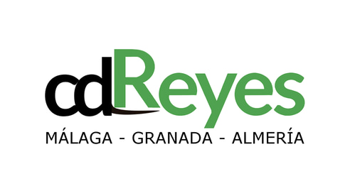 cd Reyes logo