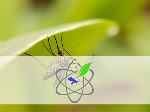 Mosquito control service