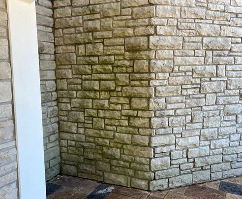 Mildew on Stone