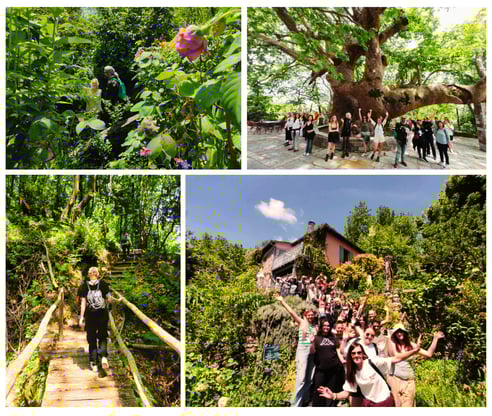 erasmus students at Tsagkarada herbal walk and visit to Dorris Serpentine garden