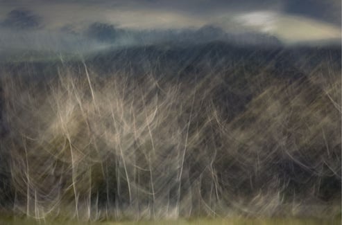 Dreamlike abstract photograph of slender trees layered over a moody mountain landscape, created with camera motion