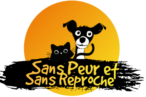 éducation positive bienveillante et comportement chiens et chats