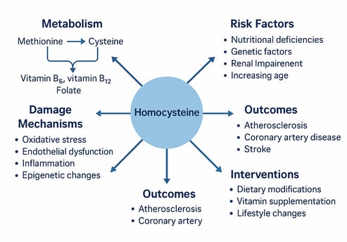 Homocysteine and Cardiovascular Risk: Should You Be Worried