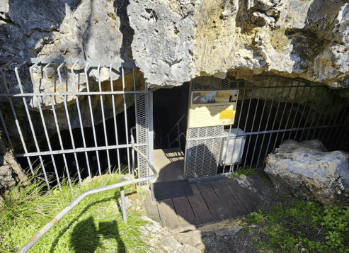 Calgardup Cave Entrance