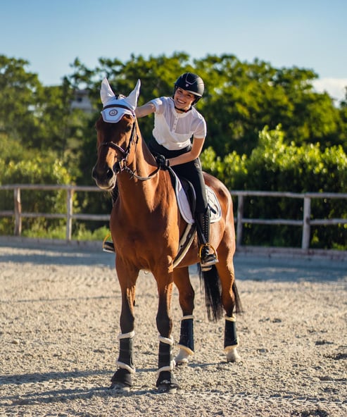 equitazione salto ostacoli