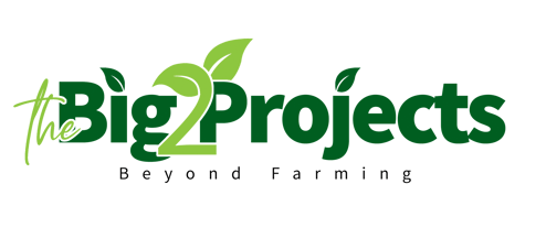 Big2Projects logo