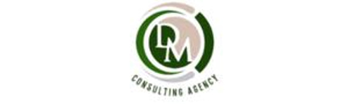 DM Consulting Agency logo