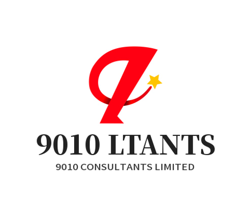 9010 CONSULTANTS LIMITED logo