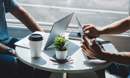 sustainability training, two persons sitting at a table with laptops, coffee and a little plant