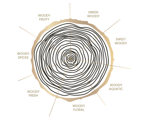 Wood ring showing chart of KAYANA wood fragrance spectrum