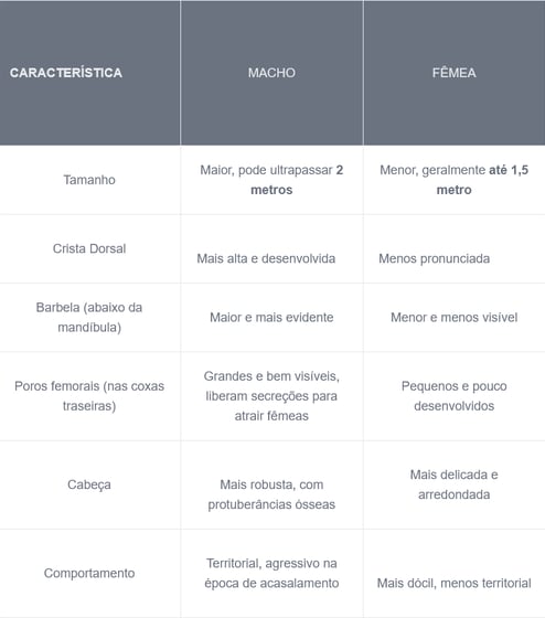 diferenças entre o sexo iguana