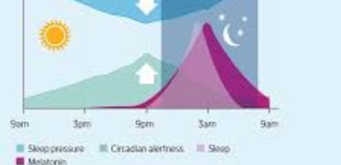 sleep drive