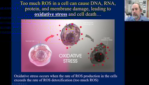 xidative stress have been associated with almost all diseases that you can think of
