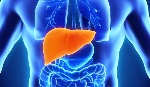 GASTRO FOUNDATION LIVER