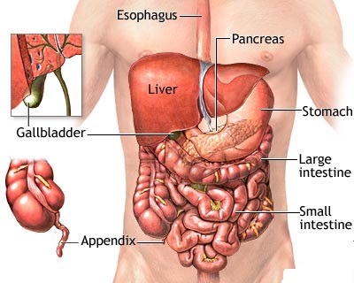 GASTRO FOUNDATION ABDOMINAL PAIN