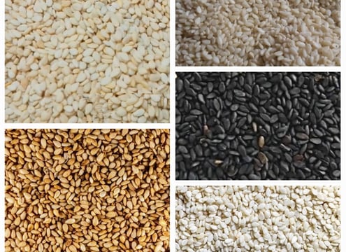 Biggest Sesame Seeds Exporters in Pakistan