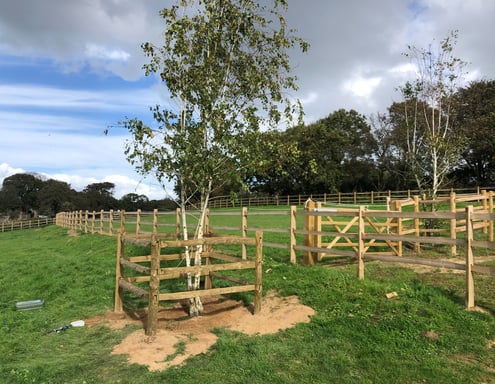 land_culture_services_fencing