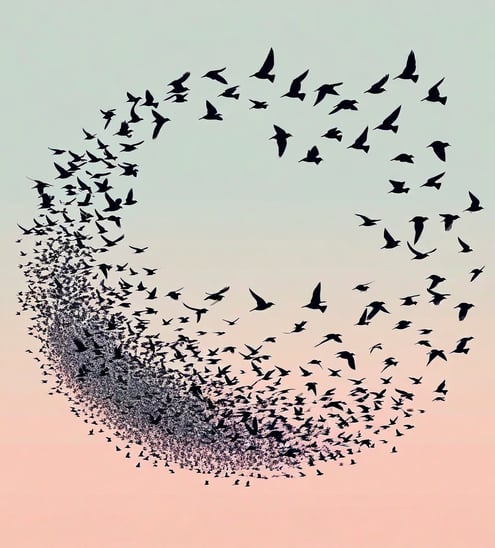 a flock of birds flying in a circle