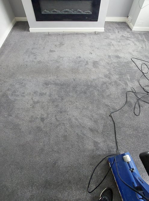 pet and food stained carpet in the process of being deep cleaned with powerful products