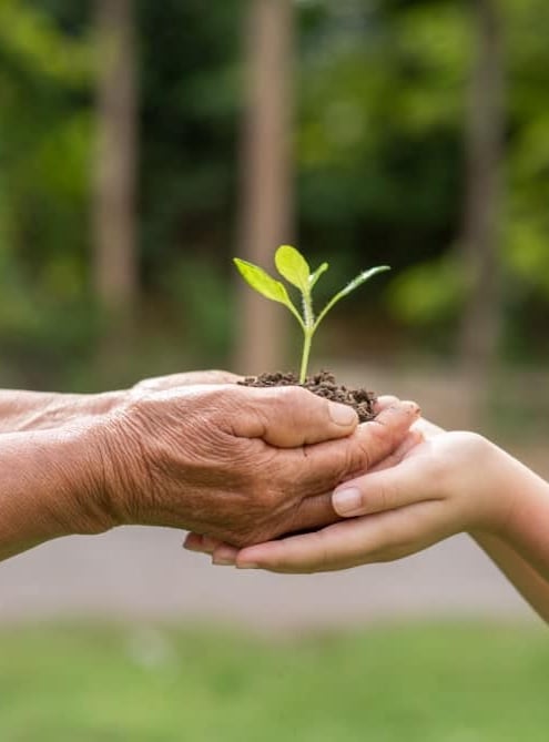 eco sustainable people