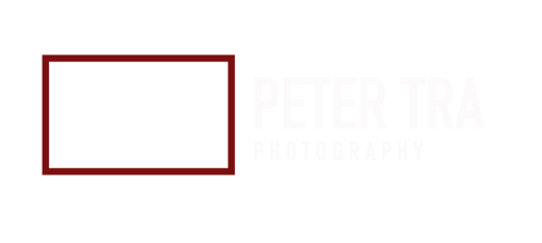 Peter Tra / Classical Musicians Backstage logo