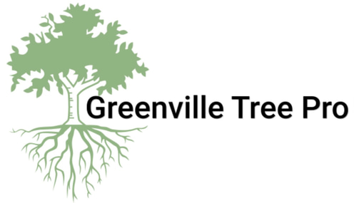 Greenville Tree Pro: Expert Arborist Services in Greenville logo