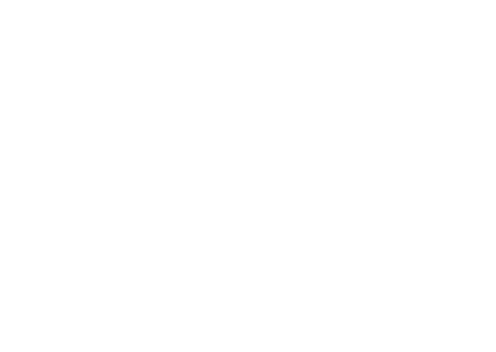 Wissal logo