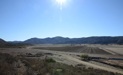 Image of Little Liberia farmlands in 2022. Picture of farm with hills in the background.