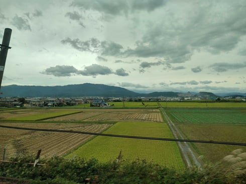 Pola uprawne w Japonii