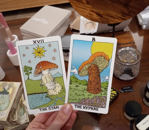 psychic tarot reading mushroom tarot cards calgary